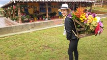 Private tour: Medellin's Flower Culture & The Silletero Tradition of Santa Elena