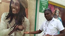 Montego Bay Jamaica Private Tour to Bob Marley Museum Kingston