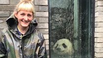 Dujiangyan Panda Volunteering Experience with Lunch