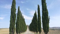 Montepulciano Wine & Pienza Flavours Day Tour from Rome
