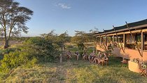5 Days Olpejeta And Samburu