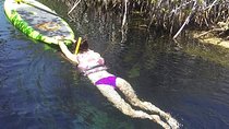 Paddleboard Cenote Tour 