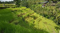 Ubud Day Tour with Lunch