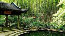 Yunxi Bamboo Forest and West Lake Private Day Tour with Tea Plantation Experience