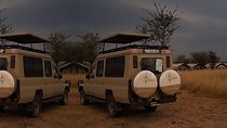 3 Day Lake Manyara, Ngorongoro crater, Tarangire Safari