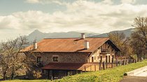 " Basque Farm House & Cider house" tour + meal from San Sebastian
