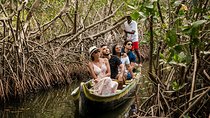 Shore Excursion Mangroves tour