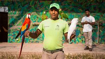 Tour al Aviario Nacional