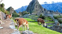 Sacred Valley Connection to Machu Picchu (Overnight in Sacred Valley)