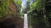 Ubud Village, Tegalalang Rice Terrace Swing, Tirta Empul Temple and Waterfafall