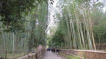 Visit the Lushan area (on foot, by tram)