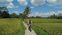 Ubud Eco Culture Cycling Exploration