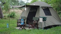 2 Days Camping Safari, Lake Manyara & Ngorongoro Crater