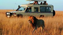 Cape Town Private -The Best of Big five safari Tour