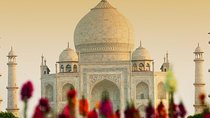  From Delhi: Sunrise visit to Taj Mahal along with Fatehpur Sikri