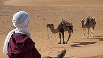 2-Day Zagora Desert Trip from Marrakech