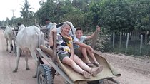 Ox Cart Ride of Rural Cambodia
