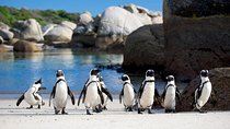 Cape Town Private - Cape Peninsula Penguin Full Day Tour