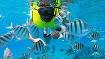 Discover Sosua's Underwater World & Beach Day