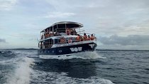 Whale Watching Experience in Mirissa