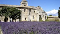 Saint Remy of Provence & Les Baux de Provence Minivan Tour