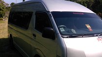 Montego Bay Private Fifteen Passenger Van-Day Trip 