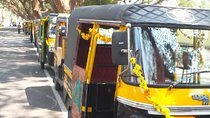 One hour Backwater Tour and tuk tuk tour in kochi with pickup 