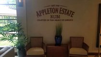 YS Falls and Appleton Estate Private Rum Tour 