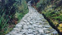 Easy Inca Trail to Machu Picchu 2 days