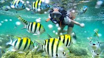 Yogyakarta Nglambor Beach Snorkeling Tour with Private Transport