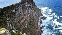 Peninsula Tour Cape Town 