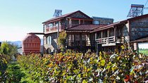 Kakheti Wine Tour and Sightseeing 