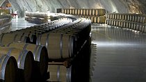 Montenegro wine tasting (Private tour)
