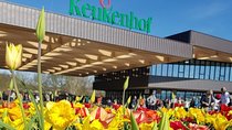 Private Day-trip to Keukenhof Gardens: Millions of Flowers in Bloom