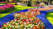 Keukenhof & FlowerFarm Tour From Amsterdam Skip-The-Line tickets