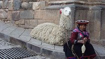 City Tour of Cusco: Private Half Day