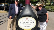 Half-Day Small Group Undurraga Vineyard Tour - Winetasting Included