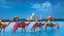 Same Day Luxury Taj Mahal Tour by Ac Car