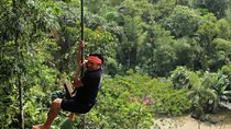One day tours in the Jungle - Puyo | Night Tours in Baños | On a day of adventure