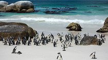 Private Cape Peninsula Day Tour