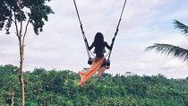Private Bali swing, waterfall instagramable tour