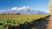 Private Andes Day Trip Maipo Valley with Concha Y Toro Wine Tour
