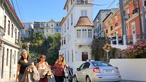 Private Full Day Tour to Concón Viña del Mar and Valparaiso + 1 Activity