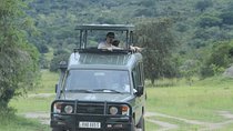 1 Day Akagera Wildlife Safaris Rwanda (2 Pax Min)