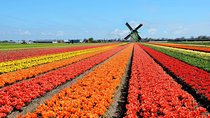 Private tour :Traditional Holland and Amsterdam city tour from Brussels Full day