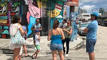 Wynwood French Guided Tour - Street Art