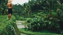 Ubud Tour - Best of Ubud - All Inclusive