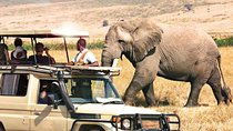 6-Day Tanzania Northern Circuit Camping Safari 