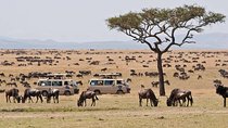 4 Days Masai Mara Lodge Safari on 4x4 Land Cruiser Jeep
