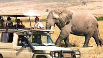 3 Days Samburu Wildlife Luxury Safari on 4x4 Land Cruiser Jeep